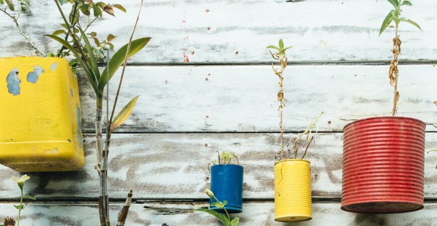 pots made of metal cans with plants